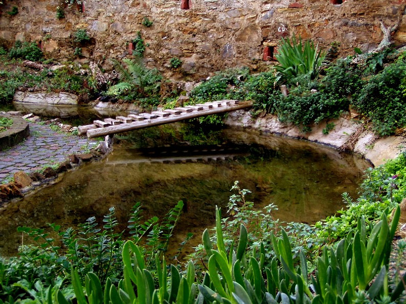 Il Laghetto del Centro di Entomologia - Piombino (LI)